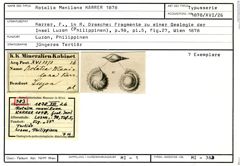 Karteikarte zum Syntyp von Rotalia manilana Karrer, 1878